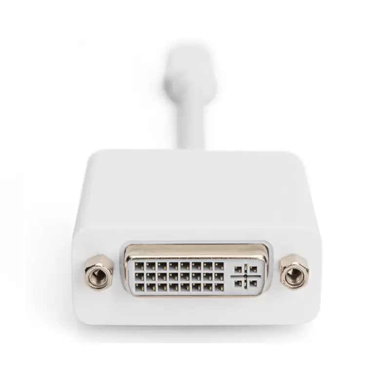 Adaptor Cablu mini DisplayPort -DVI-D 0.15m  ak-340406-001-W * 47539                                                                                                                                    